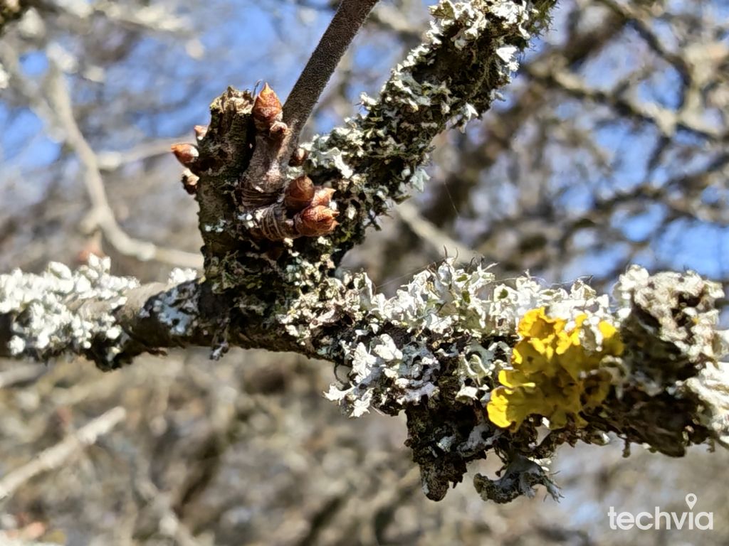 Fotografia nasnímaná telefónom HONOR Magic8 Pro