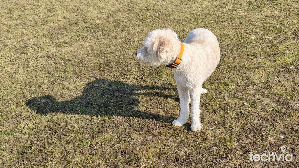 Fotografia nasnímaná telefónom HONOR Magic8 Pro